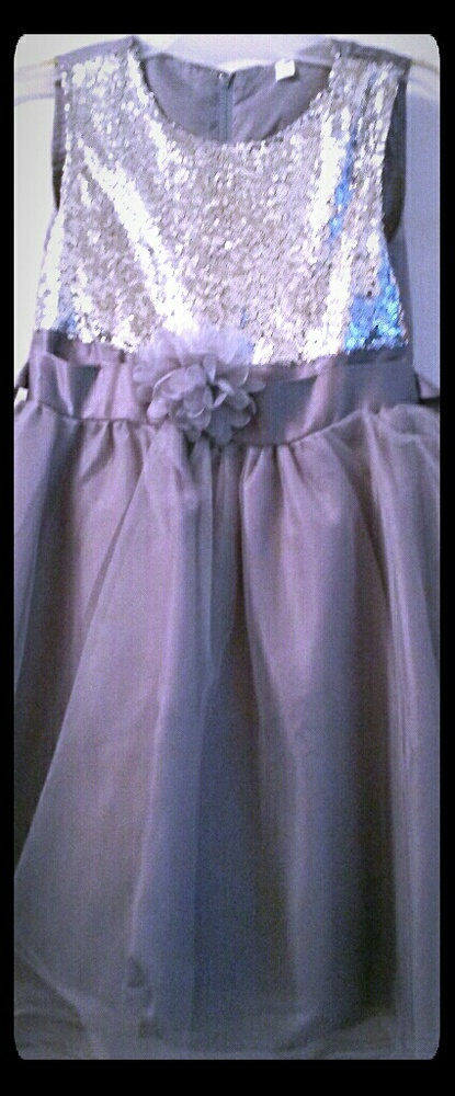 Silver Sequence Dress Never Worn